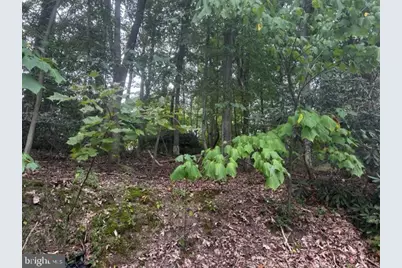 0 N Highland Drive, Pottsville, PA 17901 - Photo 1