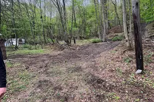 0 E Spruce St, Mahanoy City, PA 17948 - Photo 5