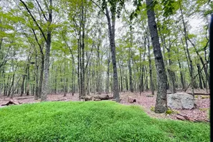 357 White Face Cir, Zion Grove, PA 17985 - Photo 1