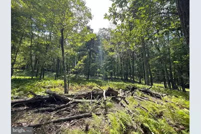 49 Alpine Drive, Zion Grove, PA 17985 - Photo 3