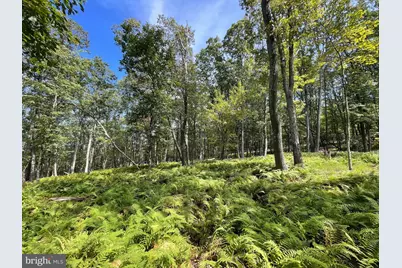 49 Alpine Drive, Zion Grove, PA 17985 - Photo 1