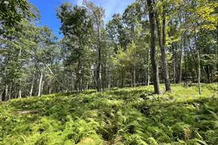 49 Alpine Dr, Zion Grove, PA 17985 - Photo 1