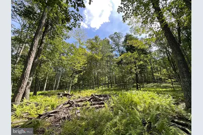 50 Alpine Drive, Zion Grove, PA 17985 - Photo 7