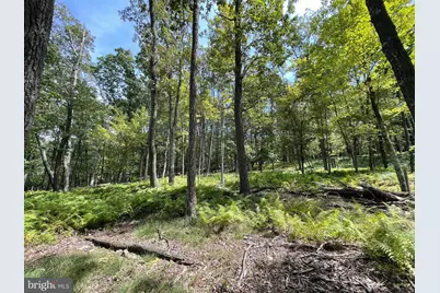 50 Alpine Drive, Zion Grove, PA 17985 - Photo 3