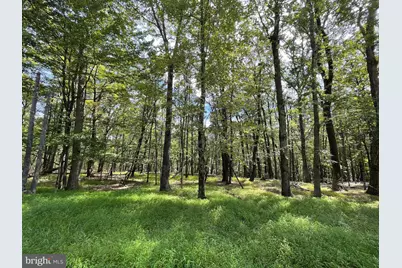 116 Spring Mountain Drive, Zion Grove, PA 17985 - Photo 1