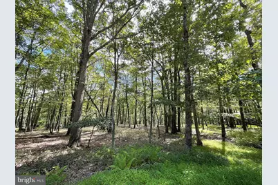 117 Spring Mountain Drive, Zion Grove, PA 17985 - Photo 3