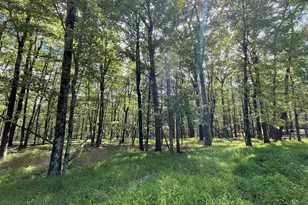 117 Spring Mountain Dr, Zion Grove, PA 17985 - Photo 1