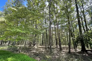 123 Spring Mountain Dr, Zion Grove, PA 17985 - Photo 1