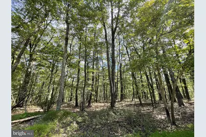 123 Spring Mountain Drive, Zion Grove, PA 17985 - Photo 3