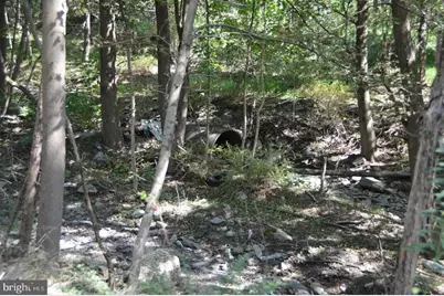 0 S Reading Railroad, Shenandoah, PA 17976 - Photo 3