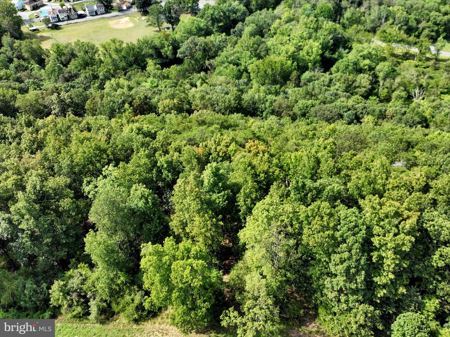 0 Green Tree Dr, Landingville, PA 17942 - MLS PASK2023432 - Coldwell Banker