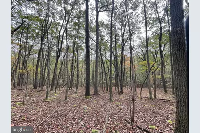 130 Spring Mountain Dr, Zion Grove, PA 17985 - Photo 9