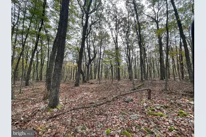 130 Spring Mountain Dr, Zion Grove, PA 17985 - Photo 3