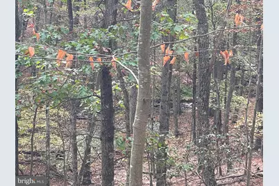 130 Spring Mountain Dr, Zion Grove, PA 17985 - Photo 11