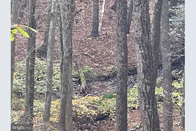 130 Spring Mountain Dr, Zion Grove, PA 17985 - Photo 5