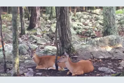 29 Blackhawk Boulevard, Hazleton, PA 18202 - Photo 107