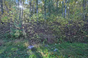 148 Mexico Rd, Pine Grove, PA 17963 - Photo 33