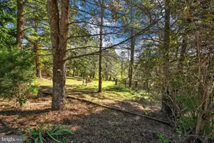 60 S South St, Lavelle, PA 17943 - Photo 37