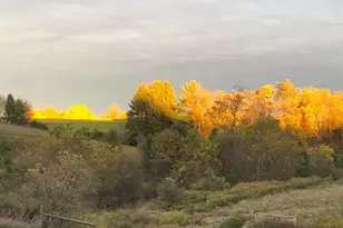 7 N Oak Ln, Schuylkill Haven, PA 17972 - Photo 49