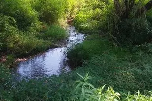 7 N Oak Ln, Schuylkill Haven, PA 17972 - Photo 51