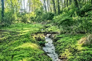 155 W Adamsdale Rd, Schuylkill Haven, PA 17972 - Photo 59