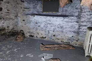 221 Cedar St, Tamaqua, PA 18252 - Photo 41