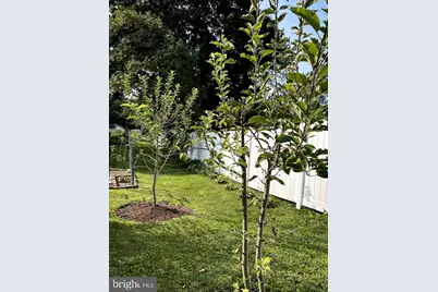 176 Roosevelt Drive, Morea, PA 17948 - Photo 51