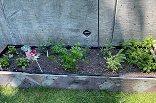 176 Roosevelt Dr, Morea, PA 17948 - Photo 45