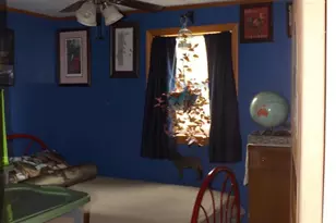 6 E Elda Ave, Schuylkill Haven, PA 17972 - Photo 45