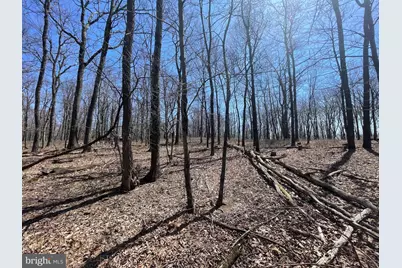 2 Princess Drive, Zion Grove, PA 17985 - Photo 5