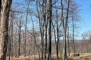 2 Princess Dr, Zion Grove, PA 17985 - Photo 1