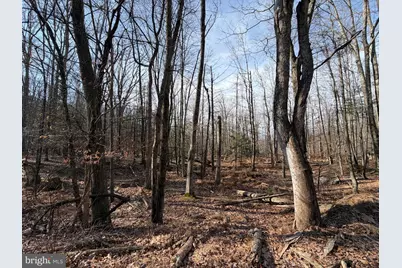 651 Aspen Drive, Zion Grove, PA 17985 - Photo 3