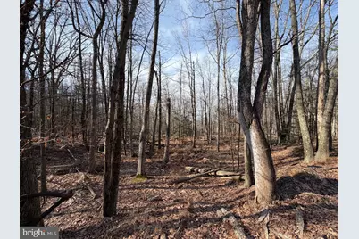 651 Aspen Drive, Zion Grove, PA 17985 - Photo 1