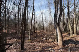 651 Aspen Dr, Zion Grove, PA 17985 - Photo 1