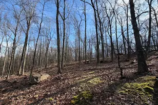 331 White Face Cir, Zion Grove, PA 17985 - Photo 1