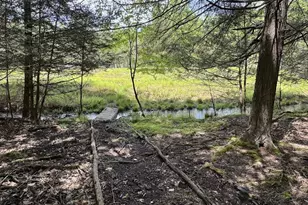 64 Algonquin Dr, North Union Township, PA 18202 - Photo 7