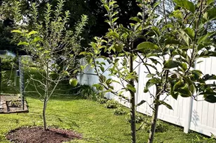 176 Roosevelt Dr, Barnesville, PA 17948 - Photo 51