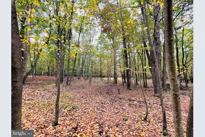 521 Haystack Drive, Zion Grove, PA 17985 - Photo 3