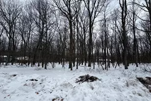 64 Jay Peak Ln, Zion Grove, PA 17985 - Photo 1