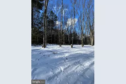 107 Dorset Rd, New Ringgold, PA 17960 - Photo 47