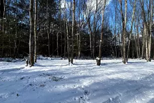 107 Dorset Rd, New Ringgold, PA 17960 - Photo 47