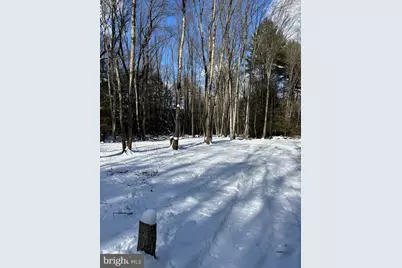 107 Dorset Rd, New Ringgold, PA 17960 - Photo 45