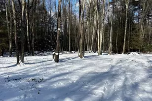 107 Dorset Rd, New Ringgold, PA 17960 - Photo 45