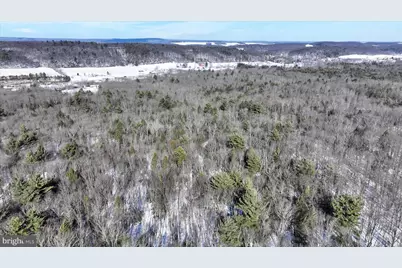 107 Dorset Rd, New Ringgold, PA 17960 - Photo 49