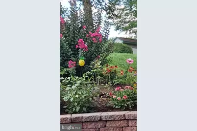 11 Bryn Mawr Avenue, Pottsville, PA 17901 - Photo 51