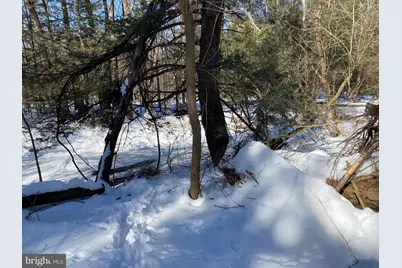 4 Little Mountain Road, Ringtown, PA 17967 - Photo 15