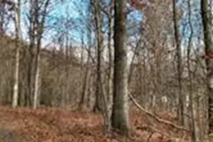 0 High Rd, Ashland, PA 17921 - Photo 1