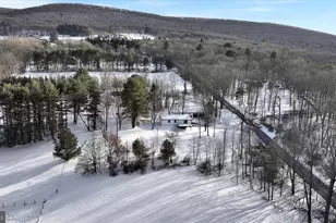 332 Wild Turkey Ln, New Ringgold, PA 17960 - Photo 13