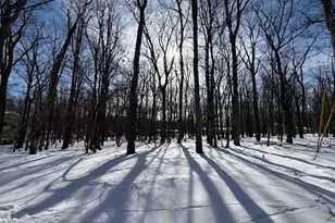 284 Killington, Zion Grove, PA 17985 - Photo 1