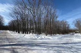 78 Saint Moritz, Zion Grove, PA 17985 - Photo 1